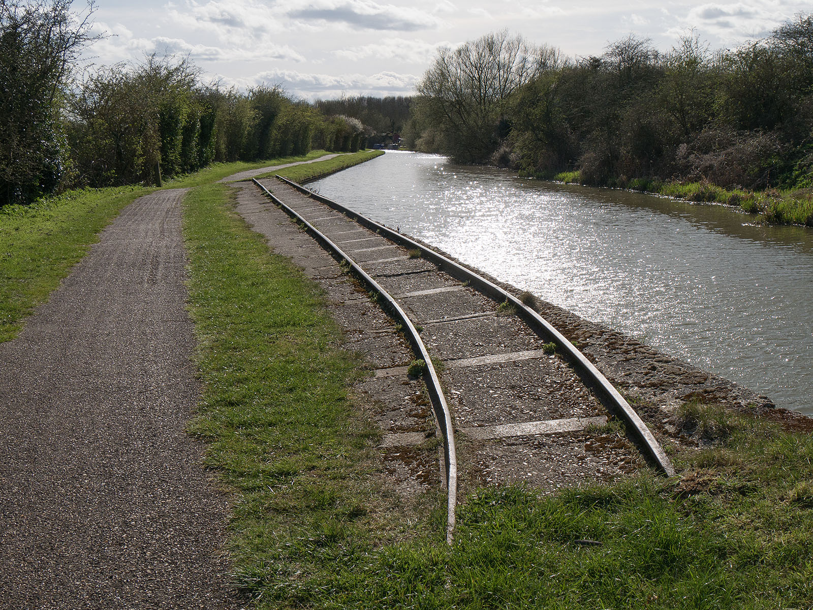 Mysterious tracks curve away from the canal