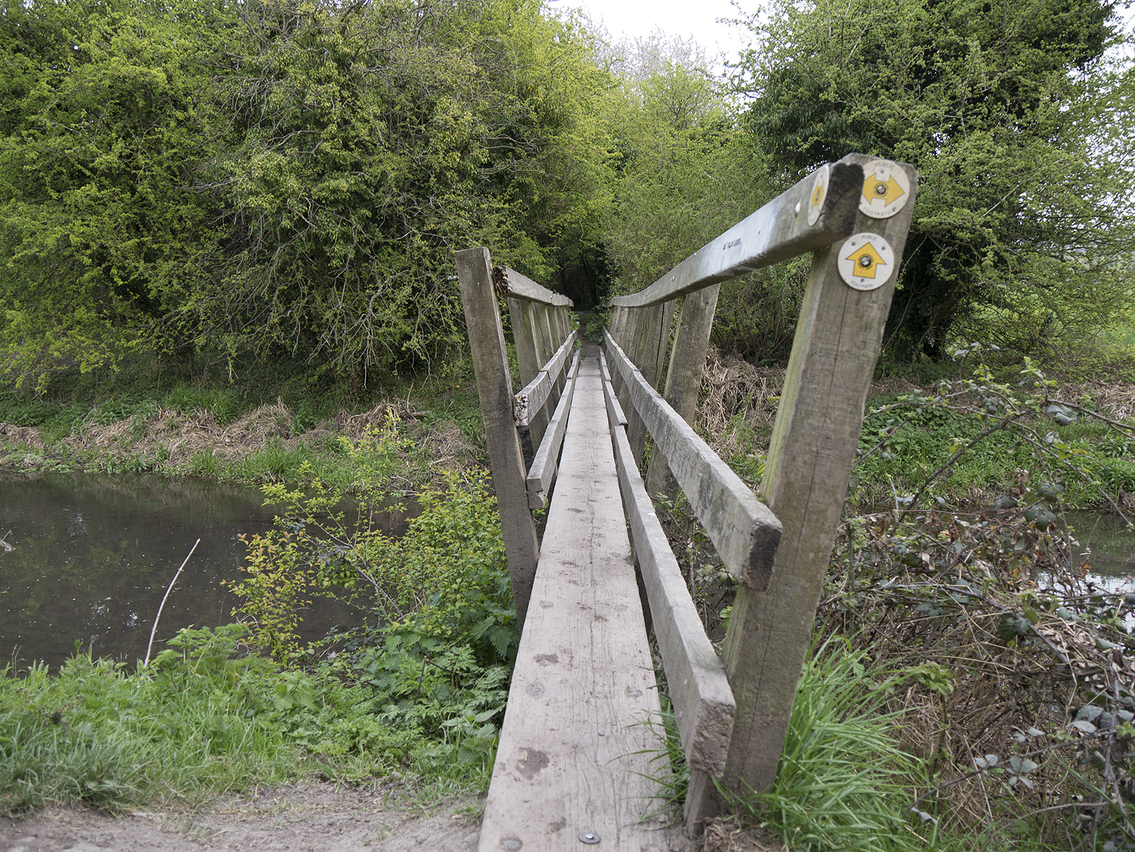 Narrow plank bridge (footbridge 11)