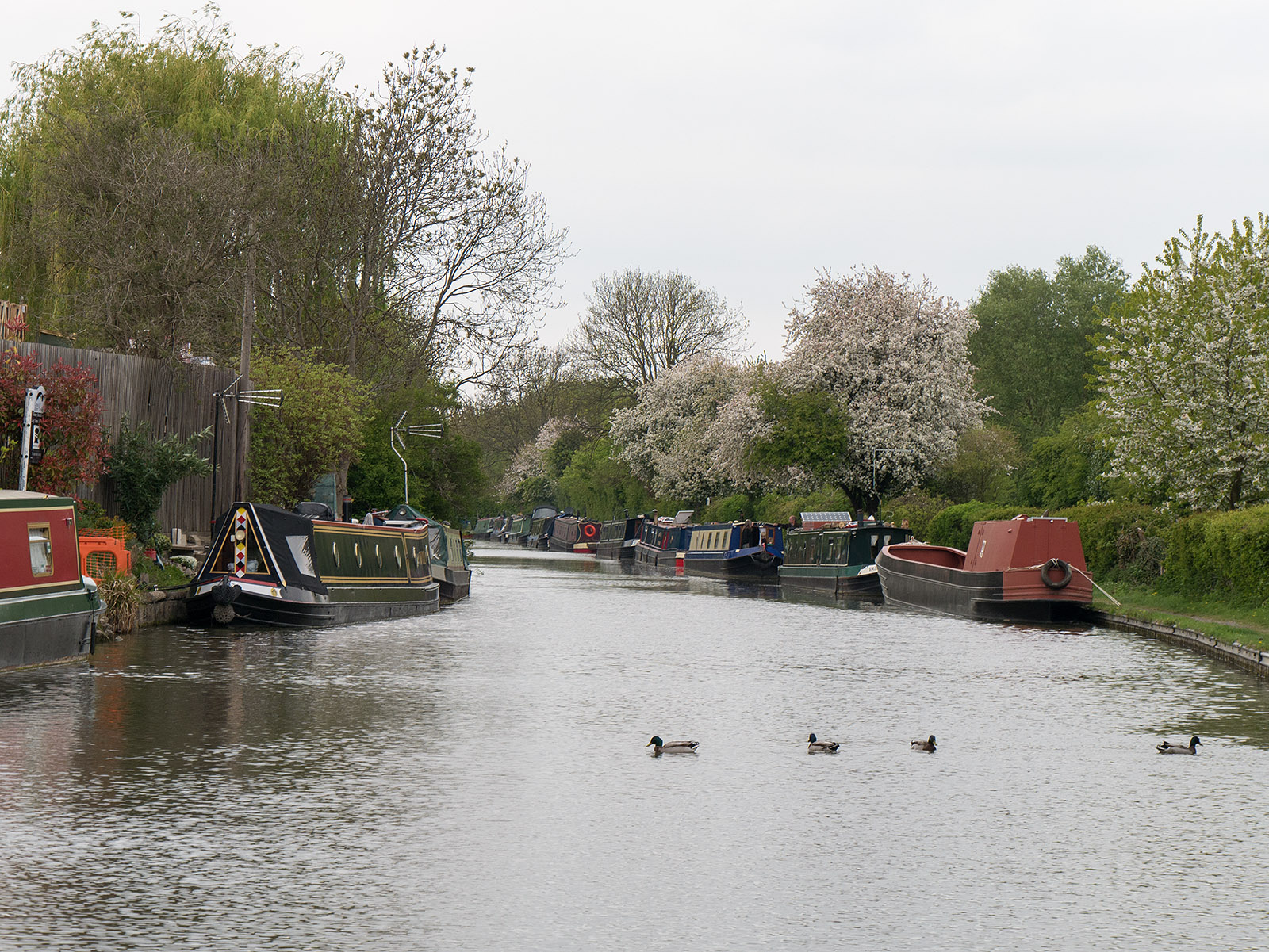 Looking north from Fenny Stratford lock